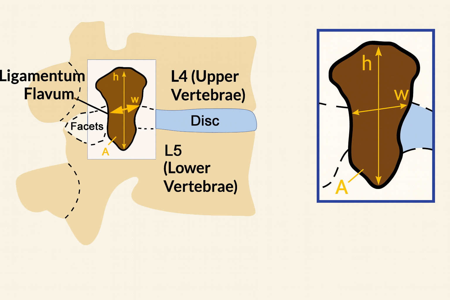 COX TECHNIC gudavalli slide on area