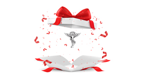 Vancouver chiropractic care as  a gift