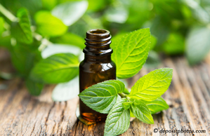 Vancouver peppermint pain relieving benefits