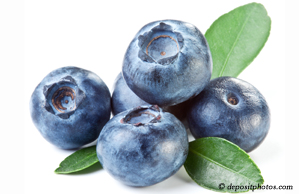 Vancouver chiropractic and nutritious blueberries